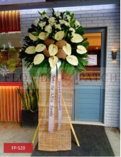 fp-s20_new-min_2046284006