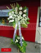 fp-s25_copy_1178977989