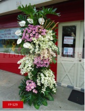 fp-s29_copy_1409591579