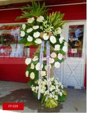 fp-s59_copy_627507002