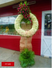 fp-s40_copy_1_147776689