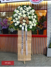 fp-s41_new_fb_1544582363