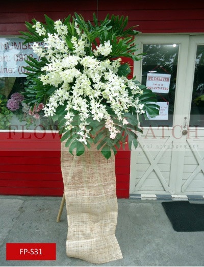 fp-s31_copy_612818344