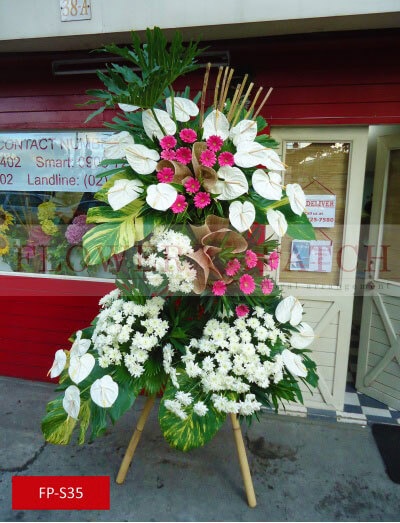 fp-s35_copy_1977080950