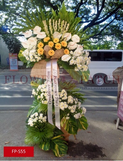 fp-s55_copy_1256567597