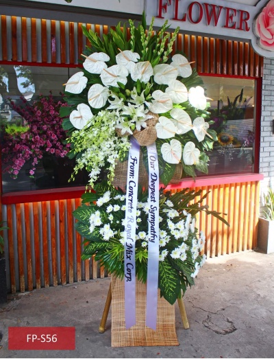 fp-s56_new_fb_1864441047