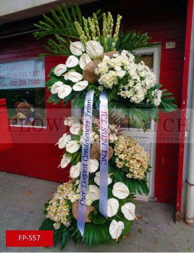 fp-s57_copy_1813753099