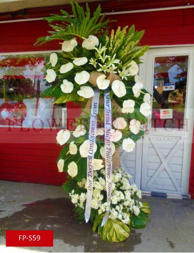 fp-s59_copy_627507002